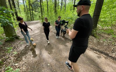 Vorsicht Bissig ?! „Die gläserne Stadt“ beim Tierheim